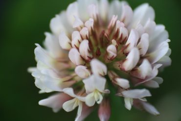 Paineen tunnetta ja pullistumia