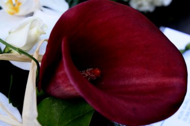 Paineen tunnetta ja pullistumia